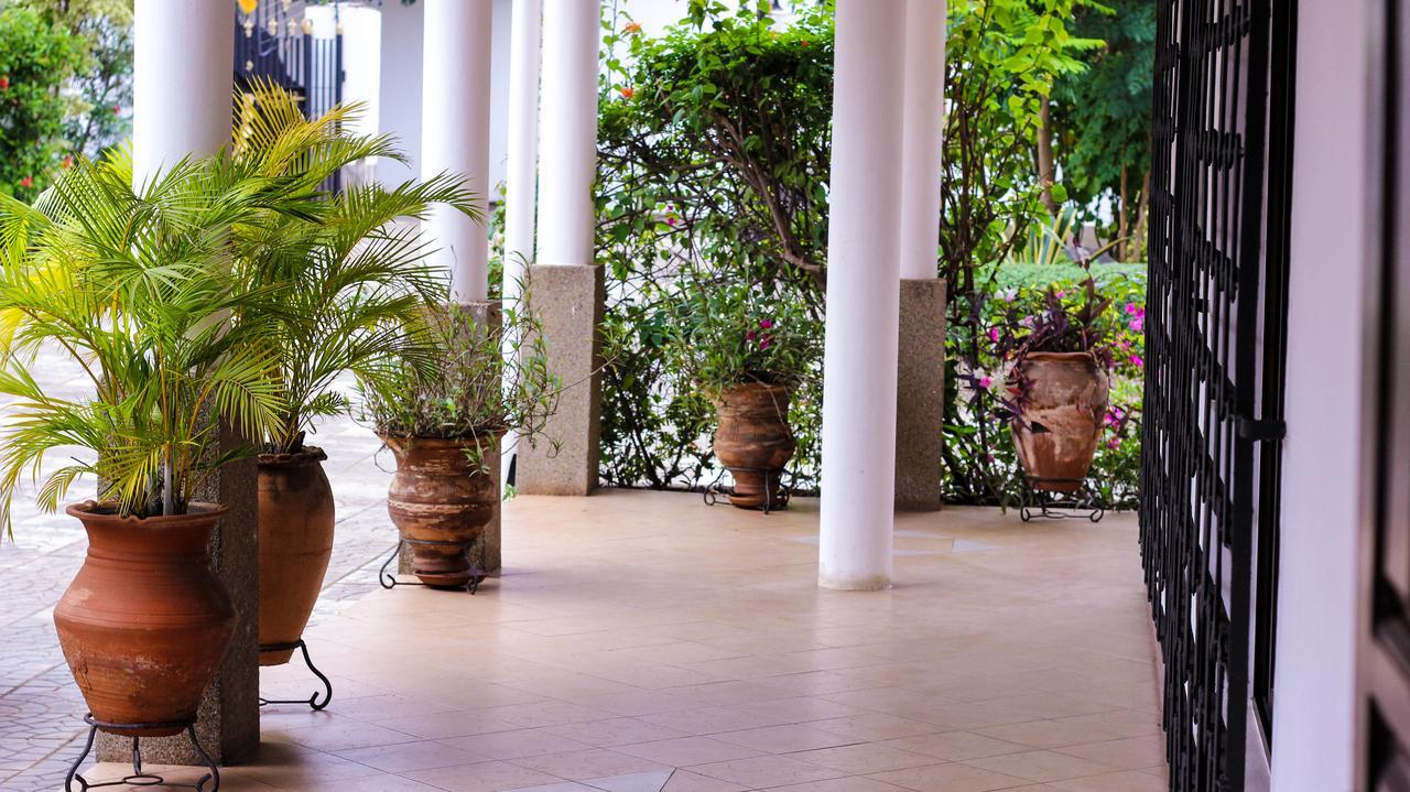 Lavender Lodge Hotel Akra Dış mekan fotoğraf